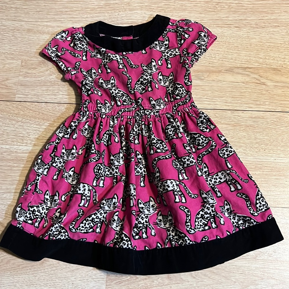 Gymboree Pink & Black Corduroy Leopard Dress